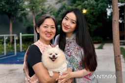 Keseruan Imlek 2026 selebritas Tanah Air: Chelsea Olivia makan yusheng hingga Natasha Wilona berburu angpao