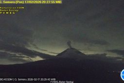 Gunung Semeru kembali erupsi dengan tinggi letusan 800 meter
