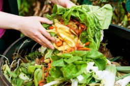 Bapanas susun Rancangan Perpres tentang Penyelamatan Pangan