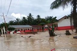 Tanggul jebol, Desa Bandar Tarutung Tapsel kembali terendam banjir