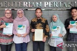 Kementan RI tetapkan padi ladang asal Bangka sebagai varietas unggul