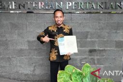 Pemkab Bangka catat produksi padi ladang 2025 capai 5.220 ton