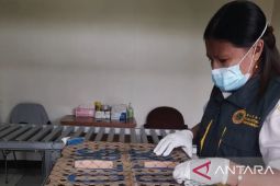 Pastikan keamanan hayati, BKHIT Maluku perkuat pengawasan pelabuhan-bandara hingga Lebaran 2026
