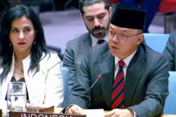 RI tegaskan BoP harus selaras dengan DK PBB demi perdamaian Palestina