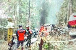 Basarnas: Jenazah pilot pesawat Pelita Air Service berhasil dievakuasi
