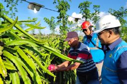 PLN Jatim catat kinerja penjualan listrik tembus 46,3 TWh pada 2025