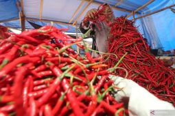 Harga pangan Kamis ini, cabai rawit merah Rp82.950/kg dan telur ayam Rp32.300/kg