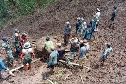 BPBD Probolinggo gerak cepat tangani longsor tutup akses jalan desa