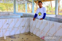Ovata Indonesia dorong PTAR bangun Pusat Riset dan Edukasi Penyu di Muara Upu