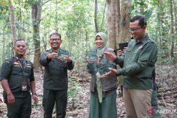 Karantina Jambi gagalkan pengiriman burung tanpa dokumen resmi
