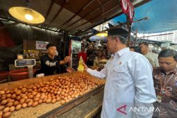 Mentan Amran turun langsung sidak Pasar Kebayoran usai terima laporan harga ayam naik