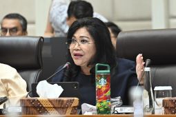 DPR minta keselamatan terjaga imbas gangguan penerbangan