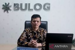 Bulog pastikan stok beras di Bangka Belitung aman hingga tiga bulan ke depan