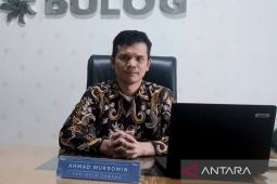 Bulog Bangka cegah lonjakan permintaan minyak goreng