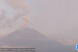 Semeru alami tujuh kali erupsi dengan tinggi letusan hingga 1 km