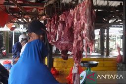 Pelaku usaha di Bangka Belitung tambah 20 ton stok daging ayam
