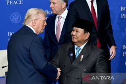 Seskab: Indonesia ikut serta BoP wujudkan perdamaian di Palestina