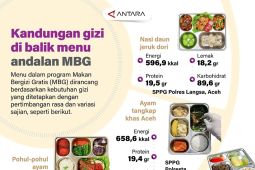 Kandungan gizi di balik menu andalan MBG