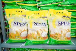 Satgas Saber cegah pengoplosan beras di NTB atasi anomali pangan