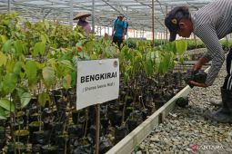 Target kawasan lindung IKN capai 164.000 hektare