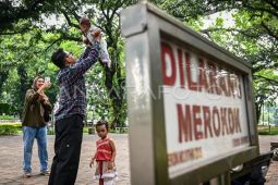 Warga Jakarta diminta laporkan pelanggaran KTR lewat aplikasi JAKI