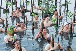 Tanam 200 pohon mangrove, Harris Lie: Jaga lingkungan lewat kontribusi nyata