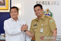 Wamen PANRB: Pelayanan publik tetap berjalan di wilayah pascabencana