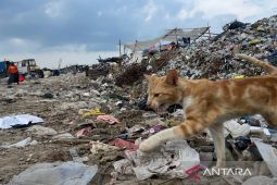 DPRD Kota Cirebon meminta pemda susun perda terkait program LH