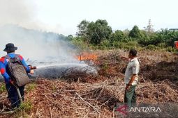BPBD Aceh Barat kerahkan petugas padamkan karhutla di Peunaga Cut Ujong