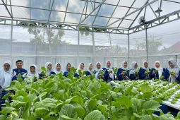 TP PKK HSS panen perdana kebun manfaatkan lahan pekarangan