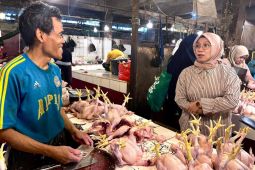 Harga daging, telur di Pasar Kemiri Muka dan Depok Jaya stabil