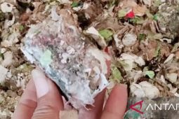 Karawang lakukan pengelolaan sampah jadi bahan bakar alernatif sesuai imbauan KLH