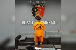 Polda Babel bongkar praktik prostitusi online di Pangkalpinang, seorang muncikari diamankan