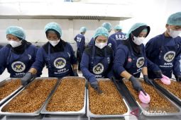Purbaya sebut efisiensi MBG bisa hemat Rp40 triliun per tahun