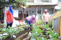 Dukung ketahanan pangan, Pemkot Tangerang optimalkan 76 KWT