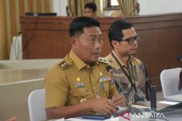 Tim percepatan akses keuangan daerah Deli Serdang fokus empat pilar