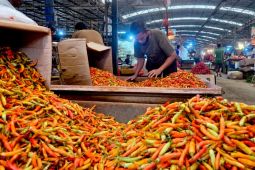 Kementan pasok 1,7 ton cabai rawit merah di PIKJ untuk stabilkan harga