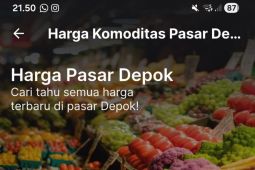 Pemkot Depok siapkan aplikasi DSW pantau harga bahan pokok selama Ramadhan