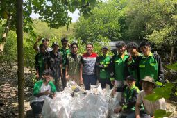 Pertamina Patra Niaga RJBB gelar aksi bersih mangrove di Pulau Rambut