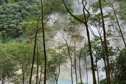 Walhi: Transisi energi harus dibangun dengan prinsip kehati-hatian