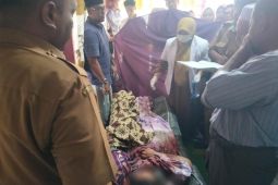 Warga Aceh Timur meninggal dunia tertimpa pohon tumbang