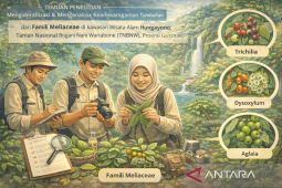 Peneliti UNG identifikasi tanaman nilai ekologis tinggi di TNBNW
