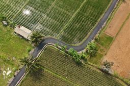 2026, Pemprov Banten targetkan 46,71 km jalan desa lewat Bang Andra