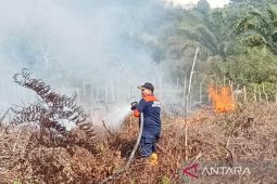 BPBD: Dua lokasi karhutla seluas 1,2 Ha di Aceh Barat sudah padam