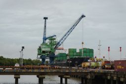 Pelindo catat arus peti kemas di Pelabuhan Merauke tumbuh 14 persen
