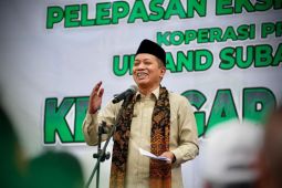 Menkop lepas ekspor 3 ton manggis Koperasi Produsen Upland Subang Farm ke China