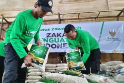 Lumbung Pangan Baznas di berbagai daerah siapkan beras zakat fitrah