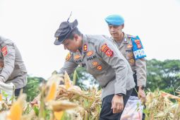 Kapolres Karawang pimpin panen 28 ton jagung di wilayah Cikampek