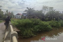 Peremajaan 3.500 hektare sawit ditargetkan Pemprov Bengkulu pada 2026