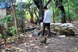 Pohon di Taman Kota Cawang Kebon Pala dipangkas agar terlihat lebih jelas dari luar